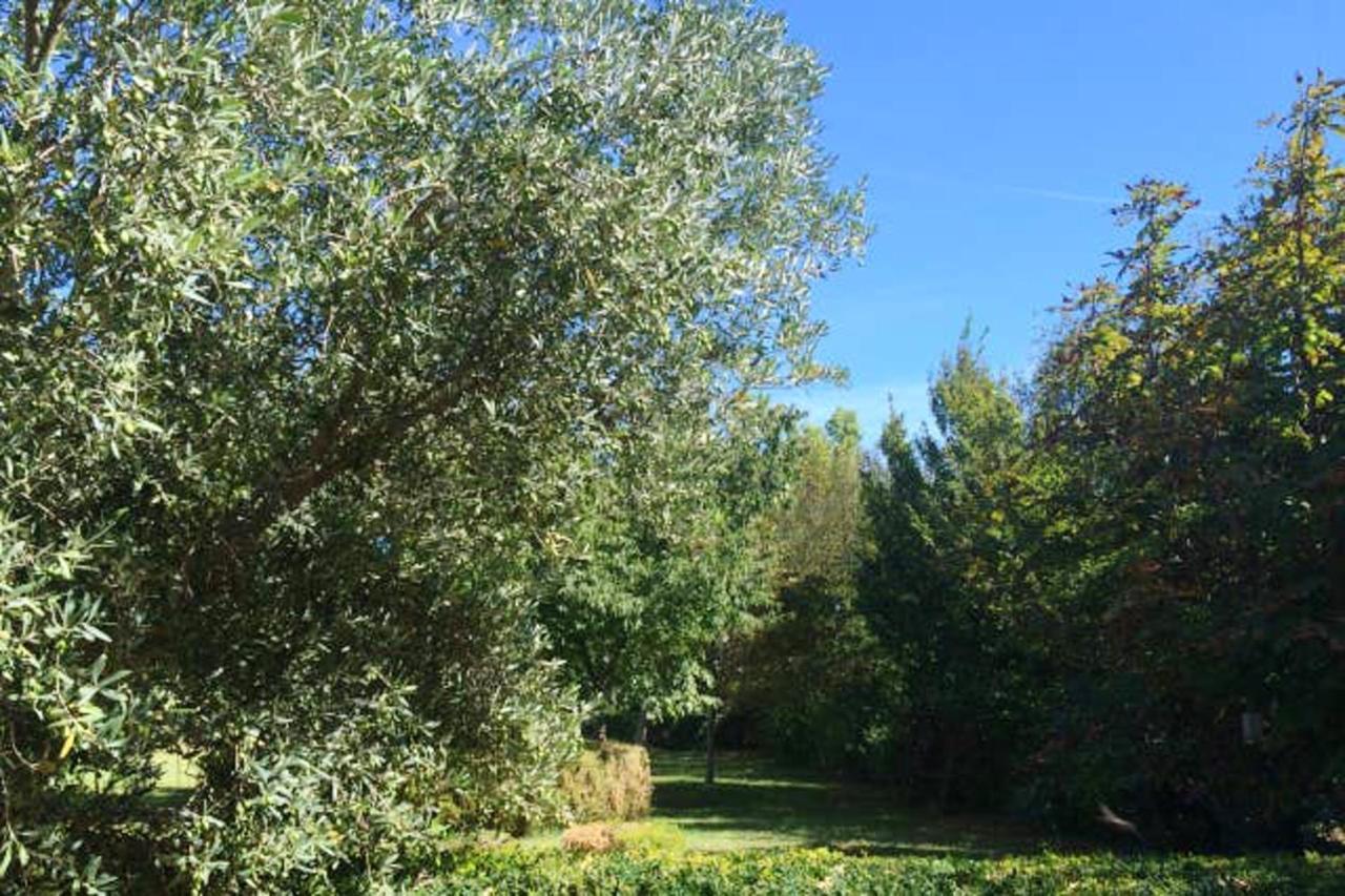 Maison Accueillante A Arles - Jardin, Parking Prive 외부 사진